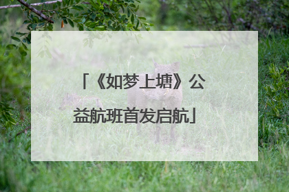 《如梦上塘》公益航班首发启航