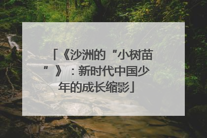 《沙洲的“小树苗”》：新时代中国少年的成长缩影