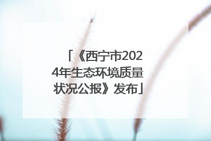 《西宁市2024年生态环境质量状况公报》发布