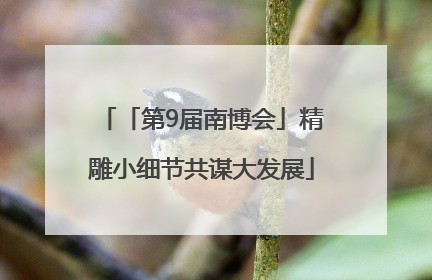 「第9届南博会」精雕小细节共谋大发展