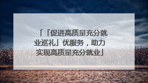 「促进高质量充分就业巡礼」优服务，助力实现高质量充分就业