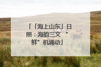 「海上山东」日照：海韵三文 “鲜”机涌动