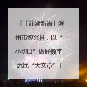 「蒲湖新语」滨州市博兴县：以“小切口”做好数字惠民“大文章”
