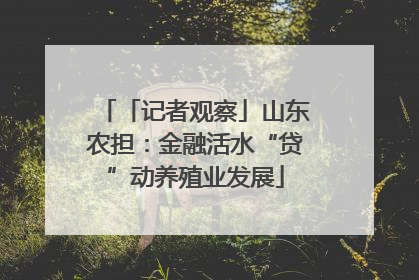「记者观察」山东农担：金融活水“贷”动养殖业发展
