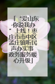 “爱山东·你说我办”上线！枣庄市市中区孟庄镇听民声办实事 政务服务暖心升级