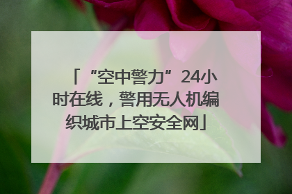 “空中警力”24小时在线，警用无人机编织城市上空安全网