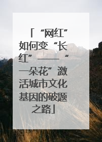 “网红”如何变“长红”——“一朵花”激活城市文化基因的破题之路