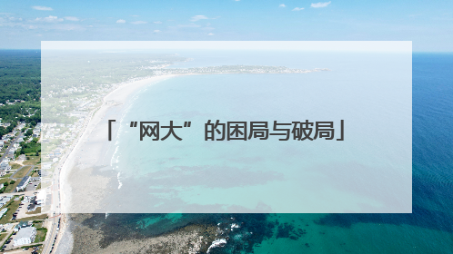 “网大”的困局与破局