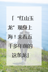“红山玉龙”现身上海！来看五千多年前的这条龙