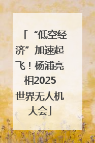 “低空经济”加速起飞！杨浦亮相2025世界无人机大会