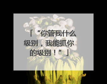 “你管我什么级别，我能抓你的级别！”