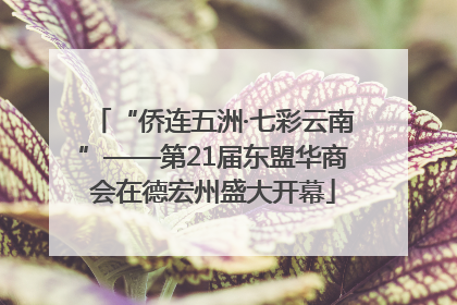 “侨连五洲·七彩云南”——第21届东盟华商会在德宏州盛大开幕