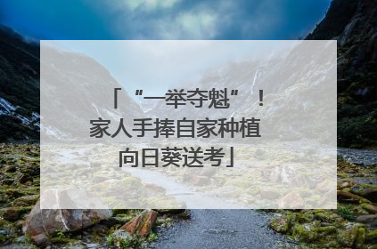 “一举夺魁”！家人手捧自家种植向日葵送考