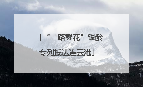 “一路繁花”银龄专列抵达连云港