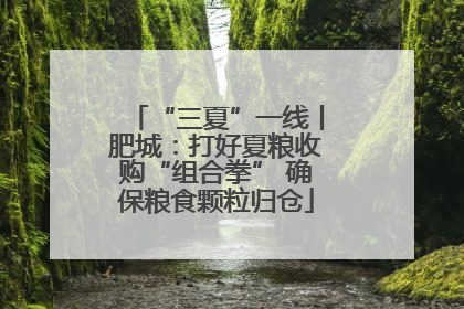 “三夏”一线丨肥城：打好夏粮收购“组合拳” 确保粮食颗粒归仓