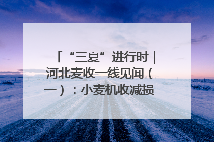 “三夏”进行时｜河北麦收一线见闻（一）：小麦机收减损“竞技” 农机高手麦田“过招”