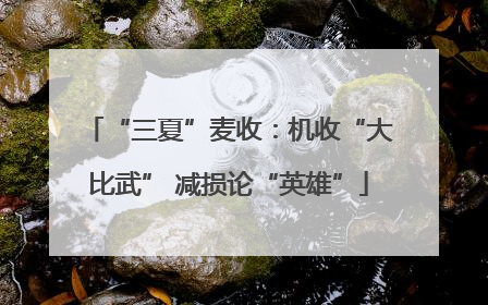 “三夏”麦收：机收“大比武” 减损论“英雄”