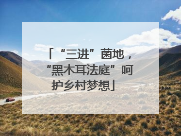 “三进”菌地，“黑木耳法庭”呵护乡村梦想