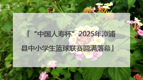 “中国人寿杯”2025年漳浦县中小学生篮球联赛圆满落幕
