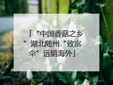“中国香菇之乡”湖北随州“致富伞”远销海外
