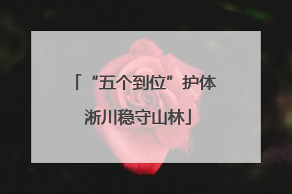 “五个到位”护体 淅川稳守山林