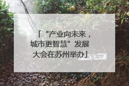 “产业向未来，城市更智慧”发展大会在苏州举办
