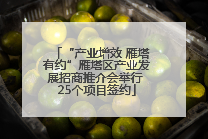 “产业增效 雁塔有约”雁塔区产业发展招商推介会举行 25个项目签约