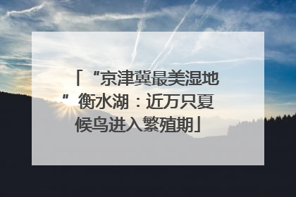 “京津冀最美湿地”衡水湖：近万只夏候鸟进入繁殖期