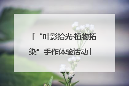 “叶影拾光·植物拓染”手作体验活动