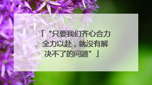 “只要我们齐心合力、全力以赴，就没有解决不了的问题”