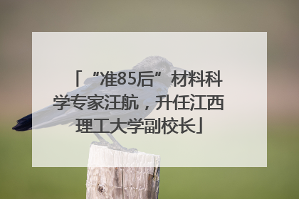 “准85后”材料科学专家汪航，升任江西理工大学副校长