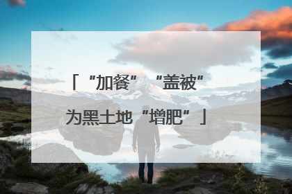 “加餐”“盖被” 为黑土地“增肥”
