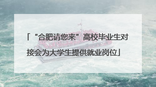 “合肥请您来”高校毕业生对接会为大学生提供就业岗位
