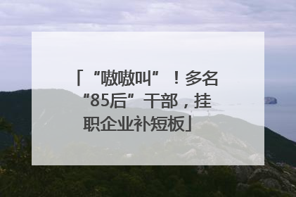 “嗷嗷叫”！多名“85后”干部，挂职企业补短板