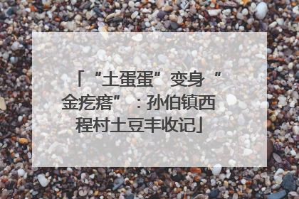 “土蛋蛋”变身“金疙瘩”：孙伯镇西程村土豆丰收记