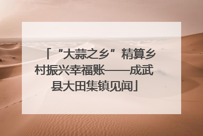 “大蒜之乡”精算乡村振兴幸福账——成武县大田集镇见闻