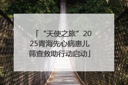 “天使之旅”2025青海先心病患儿筛查救助行动启动