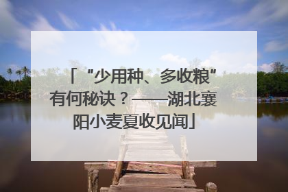 “少用种、多收粮”有何秘诀？——湖北襄阳小麦夏收见闻