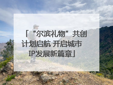 “尔滨礼物”共创计划启航 开启城市IP发展新篇章