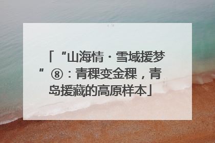 “山海情・雪域援梦”⑧：青稞变金稞，青岛援藏的高原样本