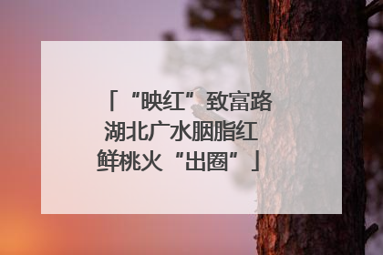 “映红”致富路 湖北广水胭脂红鲜桃火“出圈”