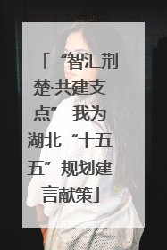 “智汇荆楚·共建支点” 我为湖北“十五五”规划建言献策