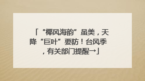 “椰风海韵”虽美，天降“巨叶”要防！台风季，有关部门提醒→