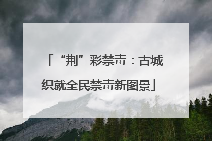 “荆”彩禁毒：古城织就全民禁毒新图景