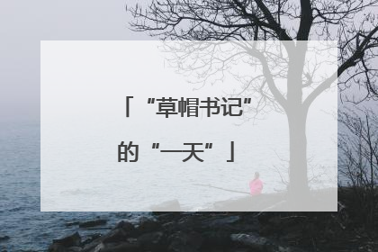 “草帽书记”的“一天”
