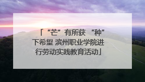 “芒”有所获 “种”下希望 滨州职业学院进行劳动实践教育活动