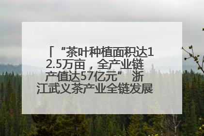 “茶叶种植面积达12.5万亩，全产业链产值达57亿元” 浙江武义茶产业全链发展“加速度”