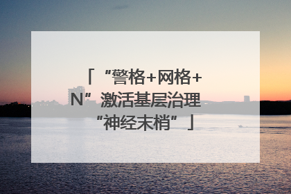 “警格+网格+N”激活基层治理“神经末梢”