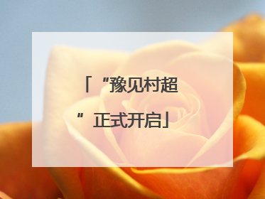 “豫见村超”正式开启
