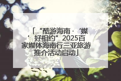 “酷游海南 ·‘媒’好相约”2025百家媒体海南行三亚旅游推介活动启动